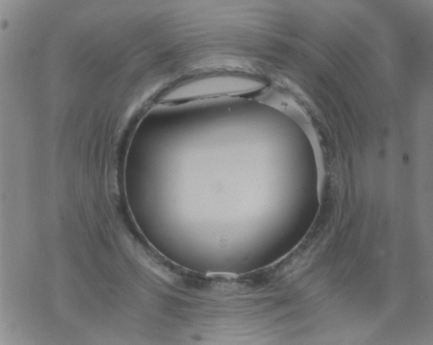 X0000073920399200609082243