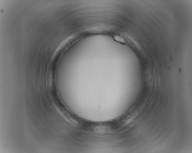 X0000073920400200609082243