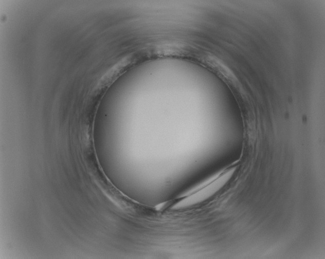 X0000073920401200609082243