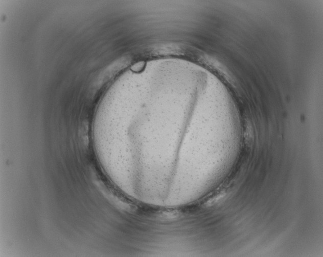 X0000073920402200609082243