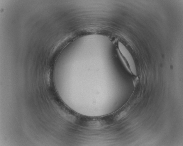 X0000073920404200609082243