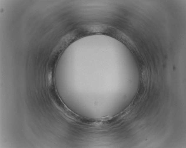 X0000073920406200609082243