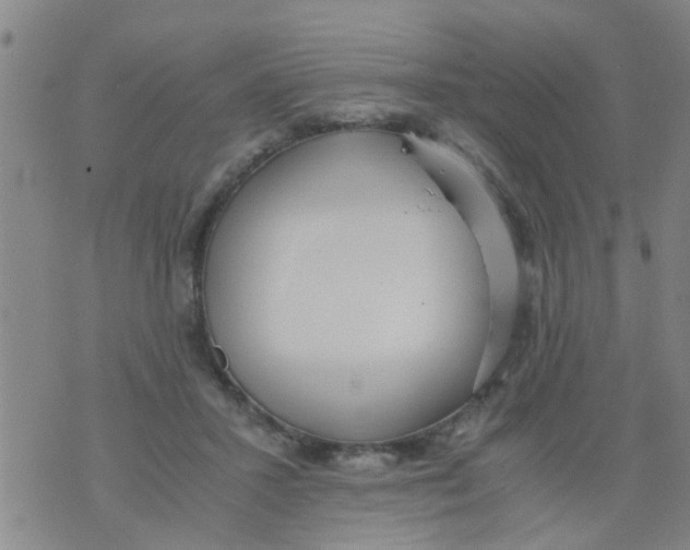 X0000073920407200609082243