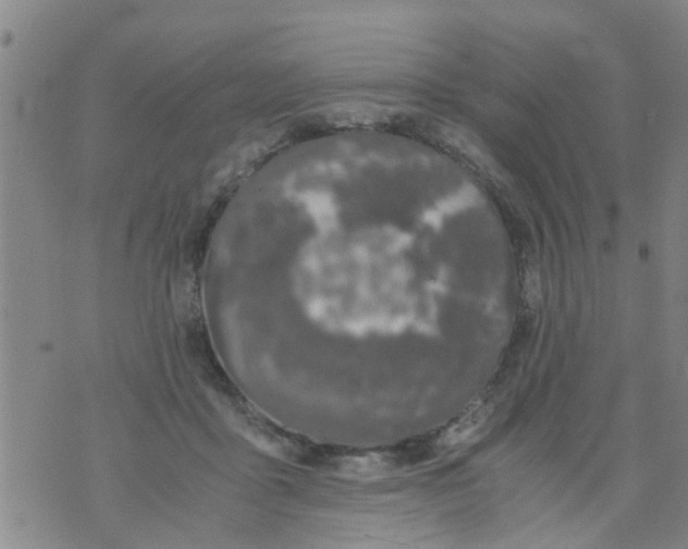 X0000073920411200609082243