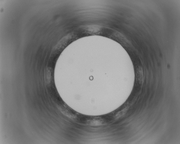 X0000073920412200609082243