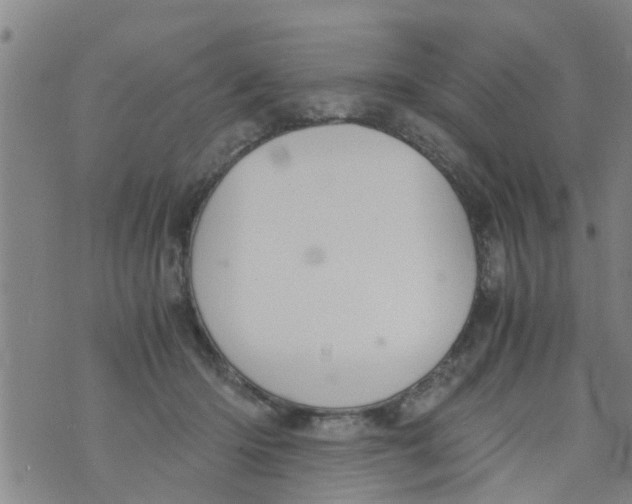 X0000073920414200609082243