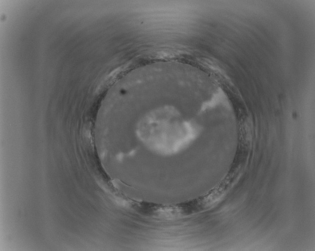 X0000073920415200609082243