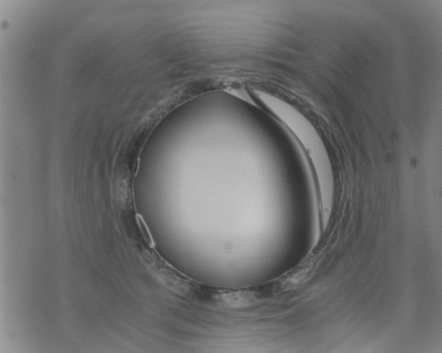 X0000073920417200609082243