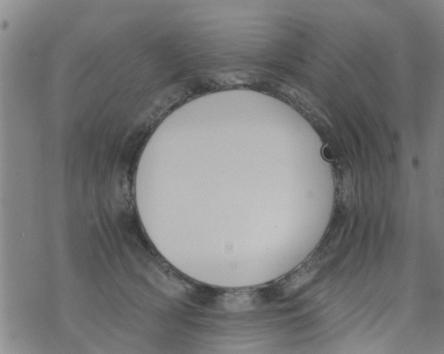 X0000073920418200609082243