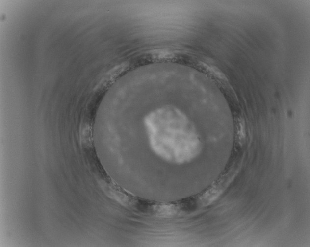 X0000073920419200609082243