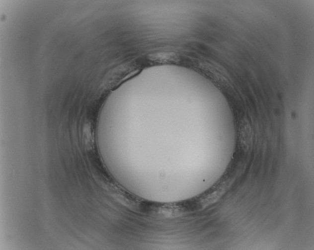 X0000073920420200609082243