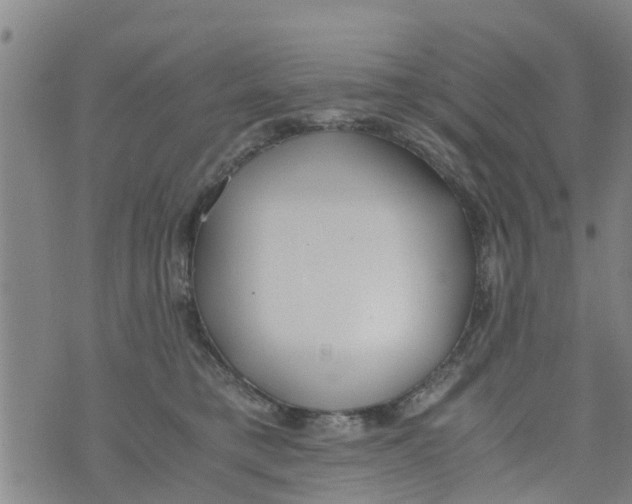 X0000073920421200609082243