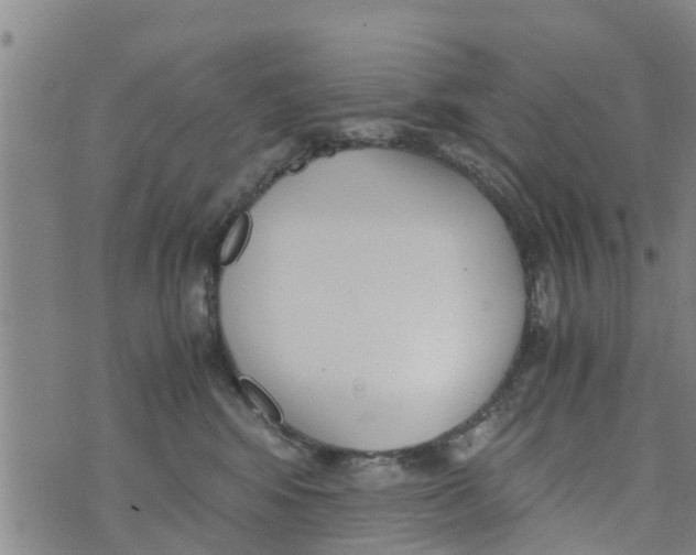 X0000073920424200609082243