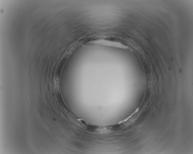 X0000073920425200609082243