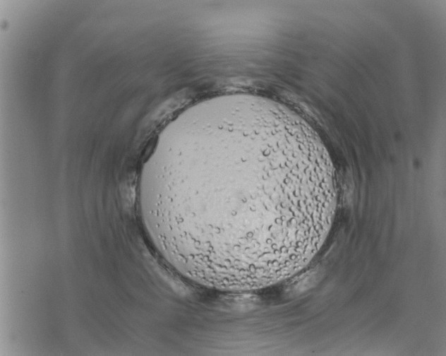 X0000073920427200609082242