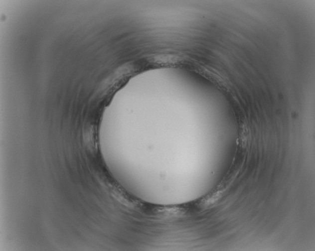 X0000073920428200609082242