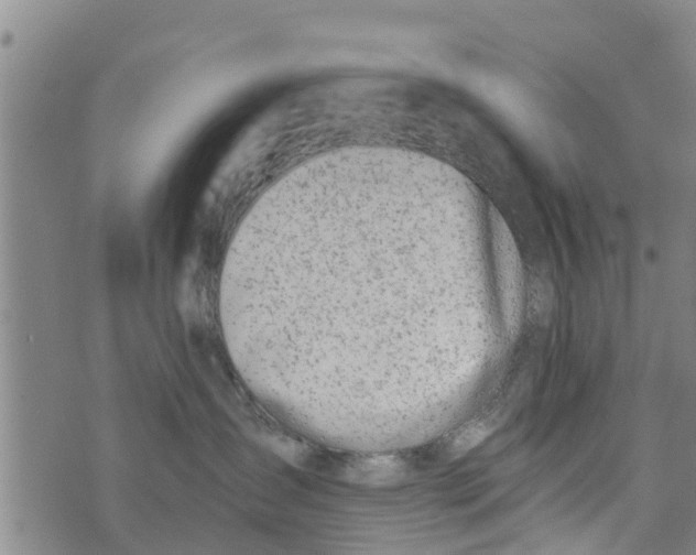 X0000073920431200609082242