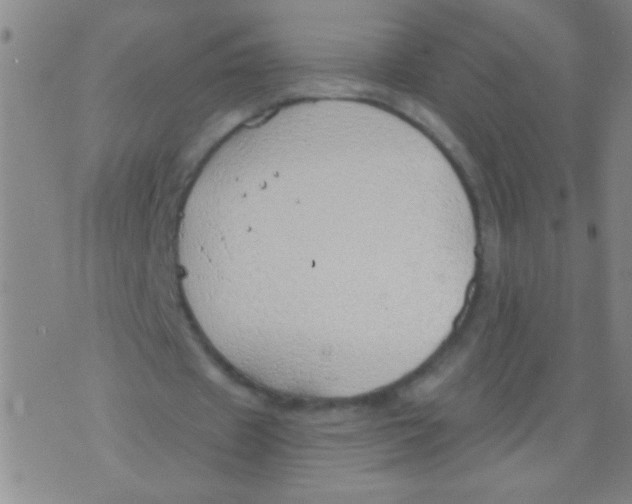 X0000073920433200609082242