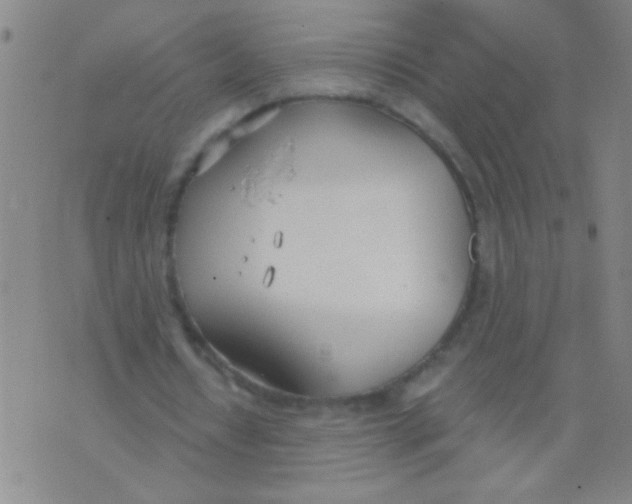 X0000073920434200609082242