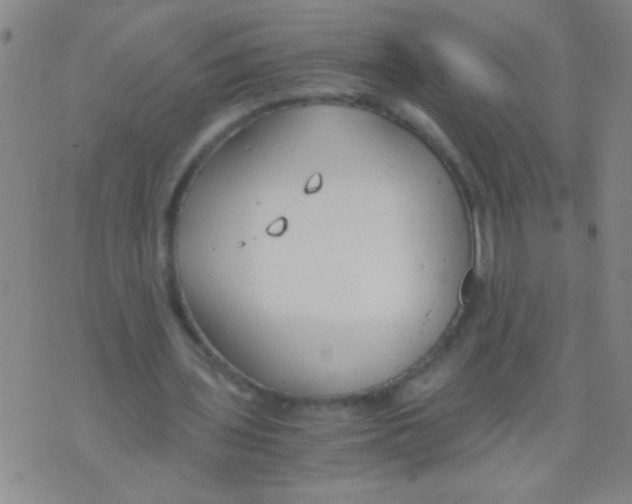 X0000073920435200609082242