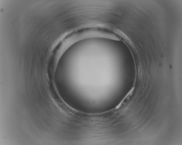 X0000073920436200609082242