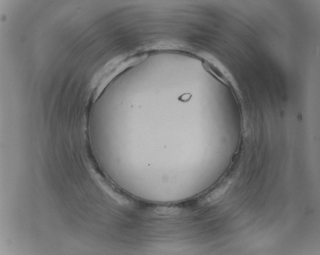 X0000073920437200609082242