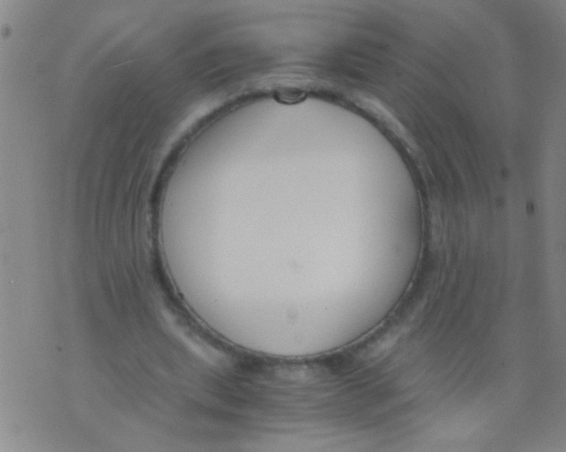 X0000073920439200609082242