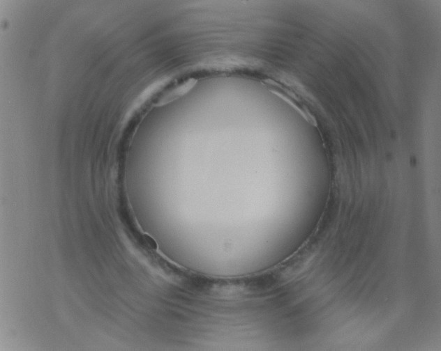 X0000073920440200609082242