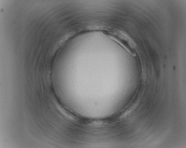 X0000073920441200609082242