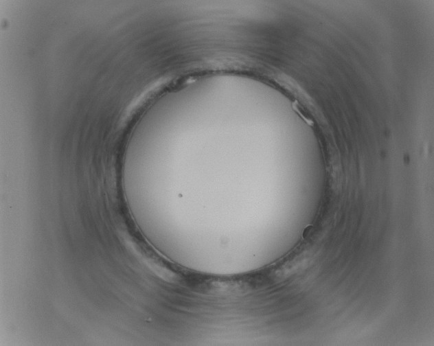 X0000073920442200609082242