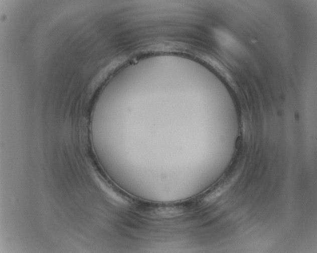 X0000073920445200609082242