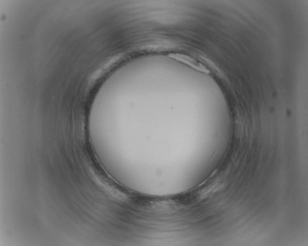 X0000073920446200609082242