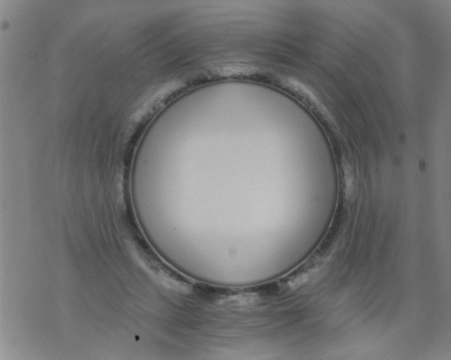 X0000073920447200609082242