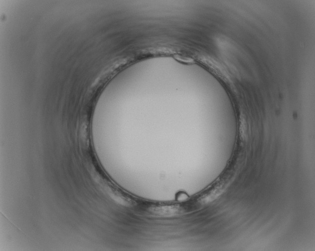 X0000073920449200609082242