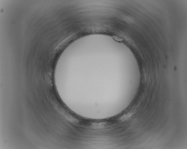 X0000073920450200609082242