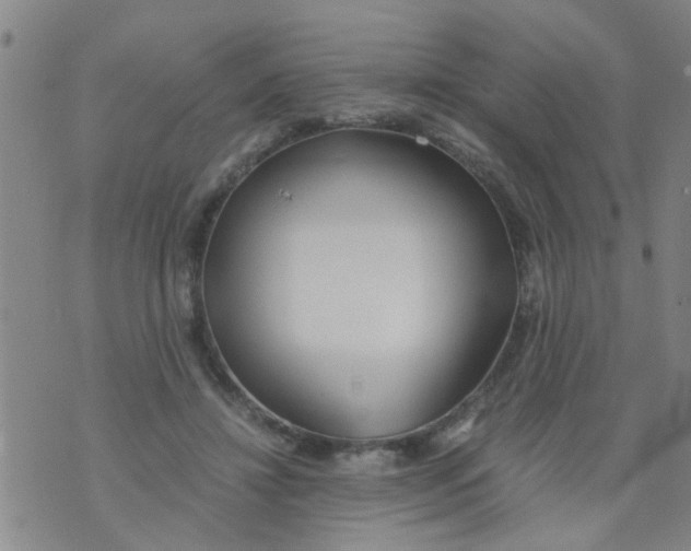 X0000073920452200609082242