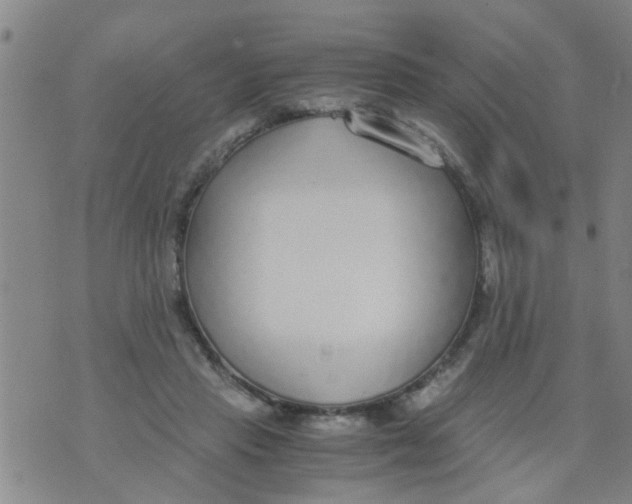 X0000073920453200609082242