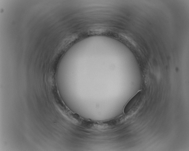 X0000073920455200609082242