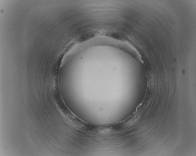 X0000073920456200609082242