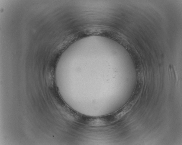 X0000073920460200609082242