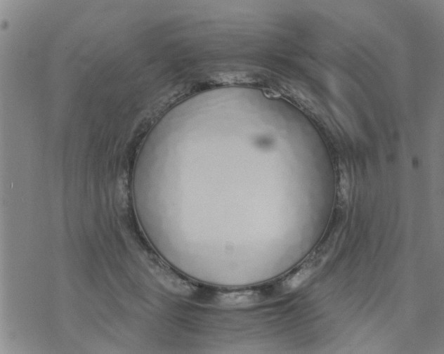 X0000073920461200609082242