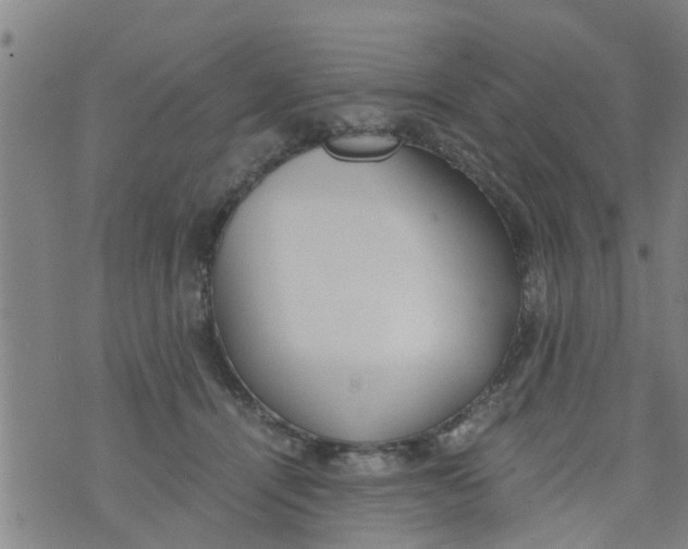 X0000073920464200609082242