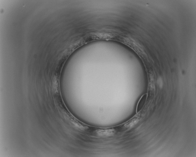 X0000073920465200609082242