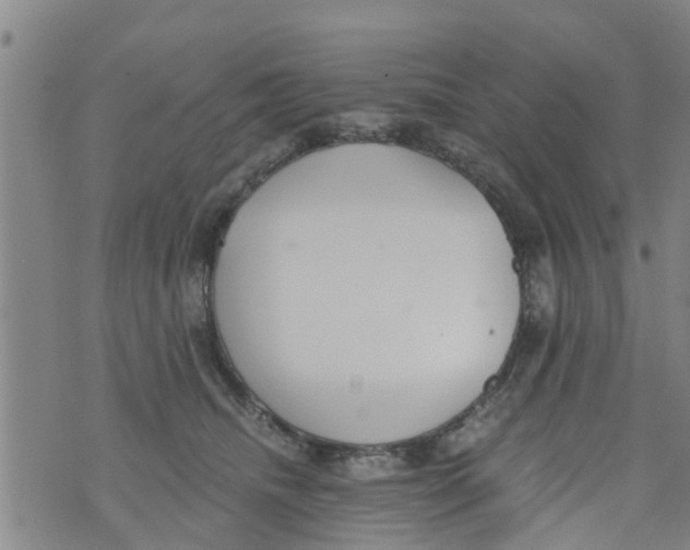 X0000073920468200609082242