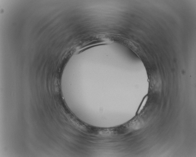 X0000073920470200609082242