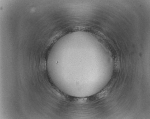 X0000073920474200609082242