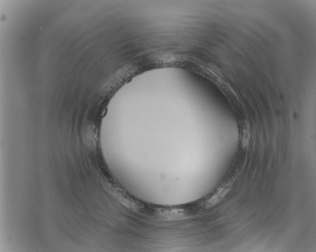 X0000073920476200609082242