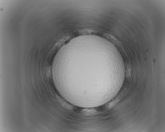 X0000073920477200609082242