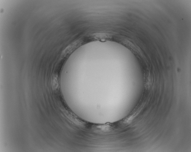 X0000073920478200609082242