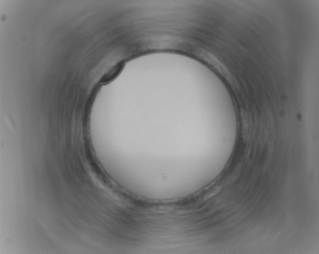 X0000073920482200609082242